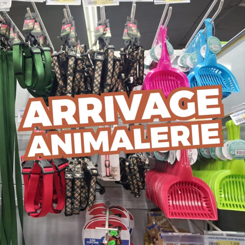 ARRIVAGE - Accessoires...